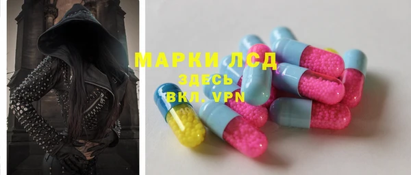 индика Алексеевка