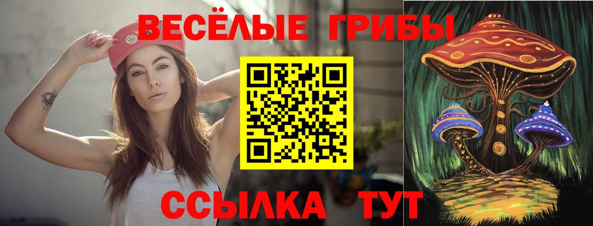 Псилоцибиновые грибы прущие грибы Элиста