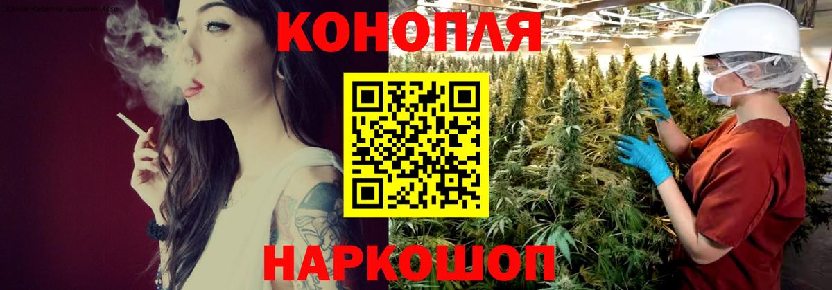 Марихуана OG Kush Элиста